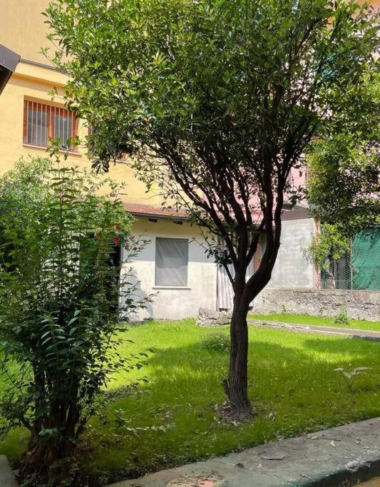 Il Giardino Nascosto Lejlighed Omegna Eksteriør billede